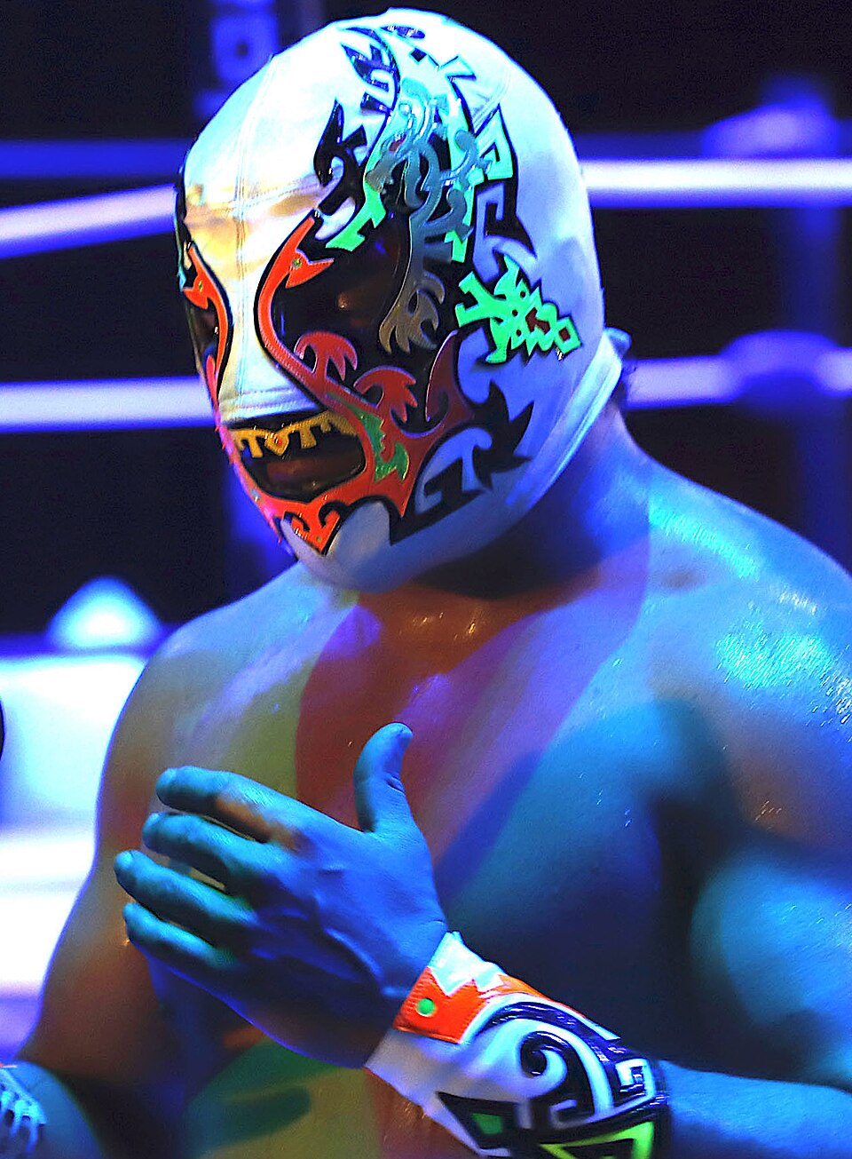 Guerrero Maya Jr.