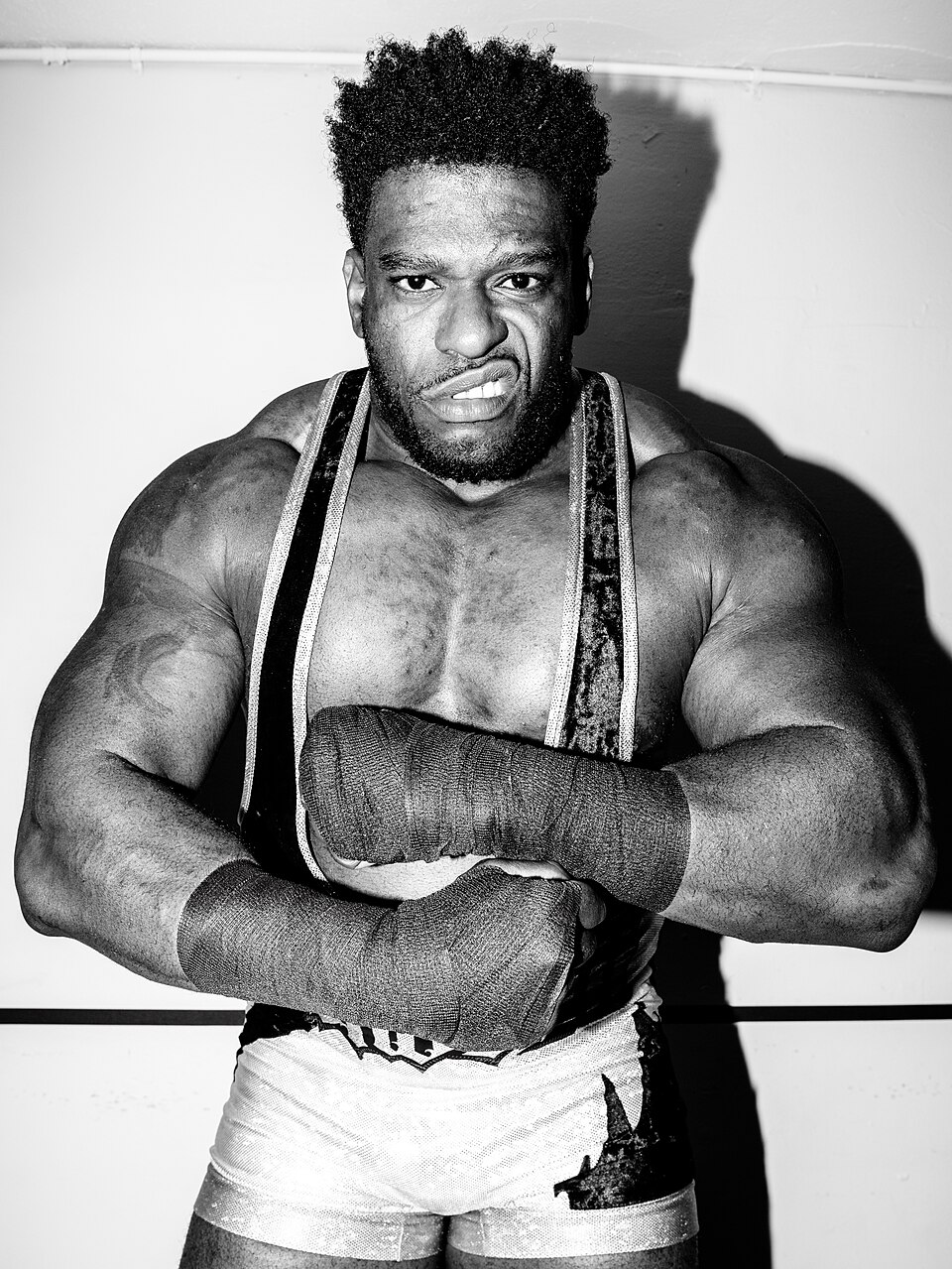Powerhouse Hobbs
