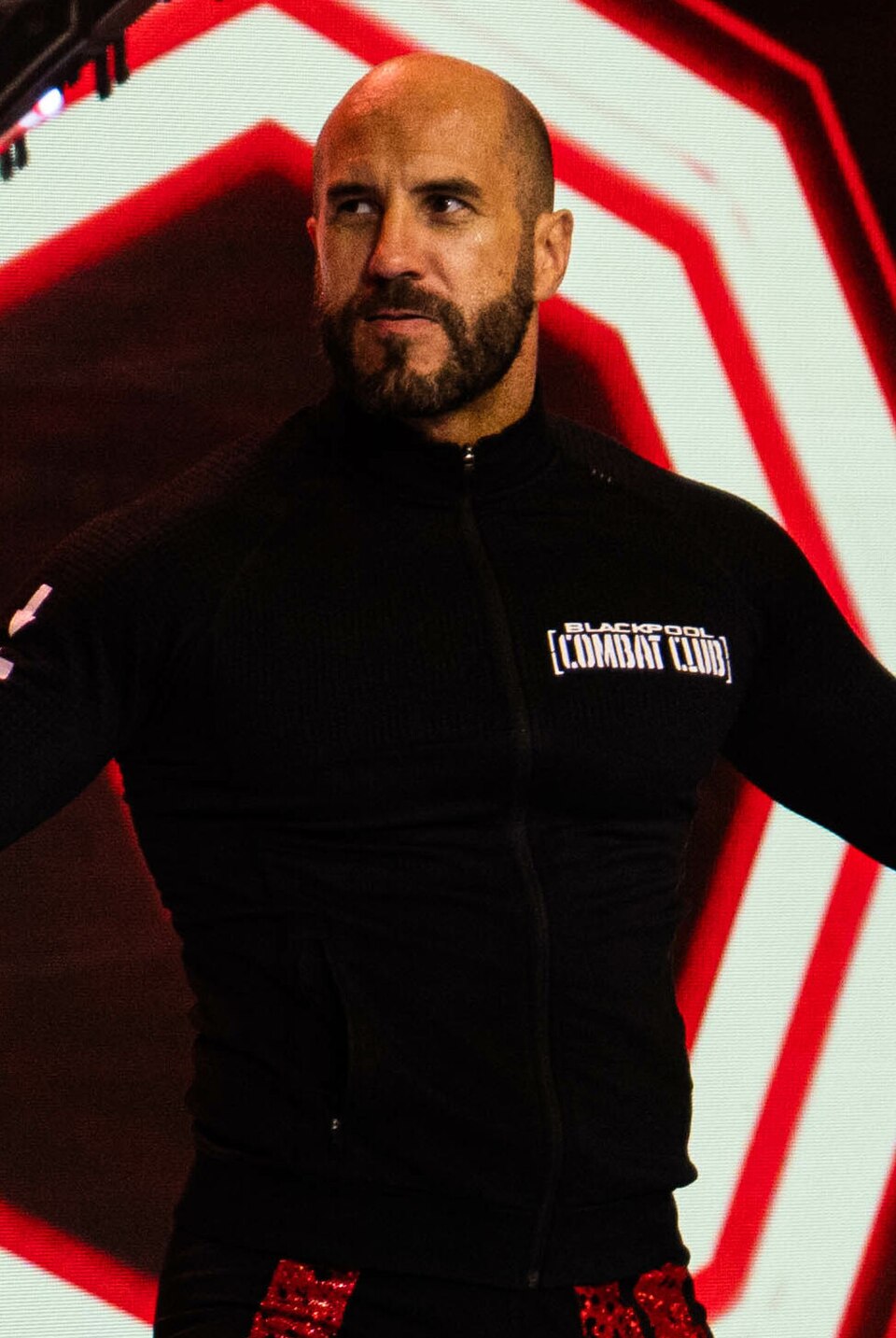 Claudio Castagnoli